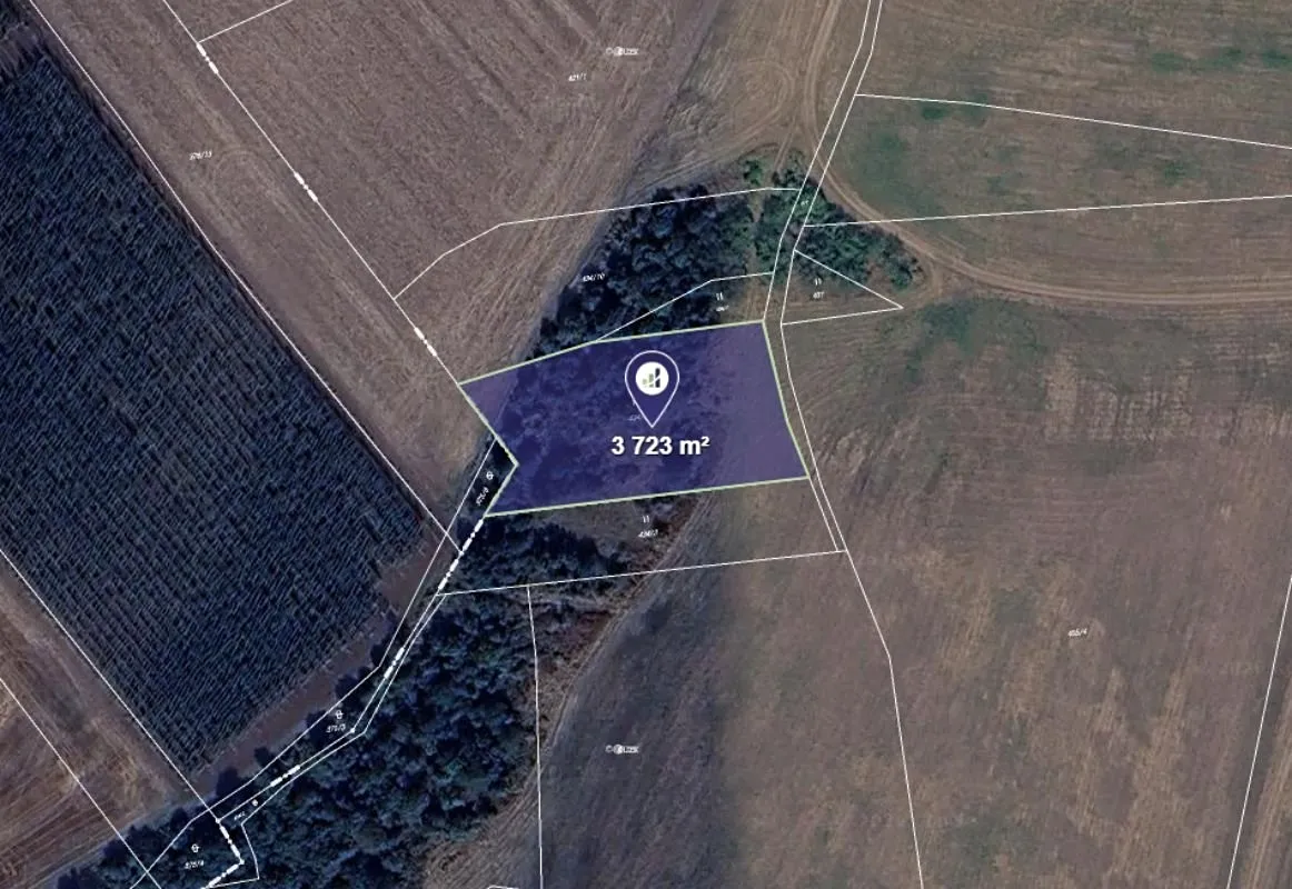Prodej pozemku 3723 m²
